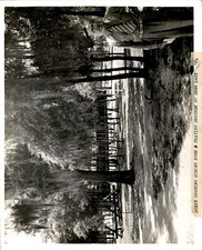 LG980 1938 Orig Photo DINING ROOM & PLAYING GROUNDS DEER LAKE CAMP SPANISH MOSS picture