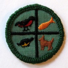 Vintage Girl Scout 1963-1974 Junior PETS BADGE Bird Fish Dog Turtle Animal Patch picture