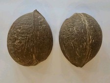 LOT 56 Coconut Shell Halves 100% Natural Cleaned & Sun Dried, Crafts Home Decor picture