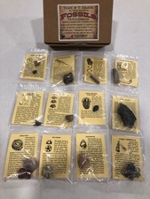 12 Piece Fossil Collection - 12 Specimens w/ Fact Sheet Great for Starting Out picture