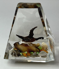 VTG LUCITE Pyramid Acrylic Paperweight Canadian Goose Shoreline Sea Shells Sand picture