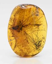 Rare Dandelion seed, Fossil Inclusion in Burmese Amber picture