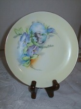 VINTAGE JHR HUTSCHENREUTHER SELB HAND PAINTED SOUVENIR OF WISCONSIN DELLS picture