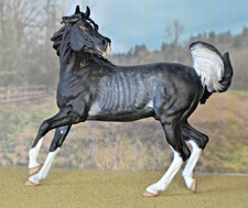 Artist resin horse  Venti 