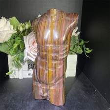 7.2LB 7.8''Natural Iron Tiger Eye Male Body Ornament Quartz Carving Gift picture