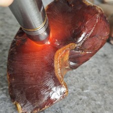 2.83LB Natural Gobi Agate crystal pebble stone specimen China L122 picture