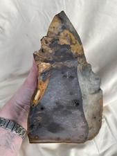 5.18 lb Blue Biggs Picture Jasper  Lapidary Rough Cut from Biggs, Oregon picture