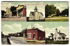 Greetings from Waltham MN Multi-View Churches Bank Stores c1910s Postcard picture
