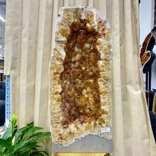 80.27LB Natural Citrine Geode Cave with Agate Rim, Sparkling Yellow Crystal Home picture