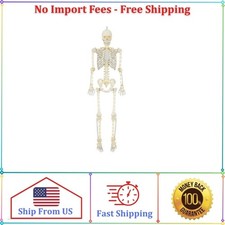 Way To Celebrate 5 ft Poseable LED Illuminated Skeleton Halloween Decoration picture
