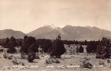 RPPC Flagstaff AZ Arizona San Francisco Peak Mountain Cow Photo Vtg Postcard B61 picture
