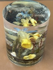 Vtg 70s Daisyglas Lucite Paperweight Straw Flowers & Butterfly 2” x 3