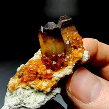 35gm Smoky Quartz+Spessartine Garnet on Matrix,Tongbei,Fujian,China picture