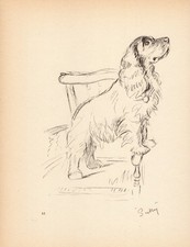 Vintage Lucy Dawson Cocker Spaniel Print Wall Art Decor 1940s Dog Art 7117m picture