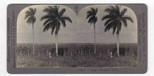 A Sugar Plantation Cuba Stereoview Keystone View Co. V34233 1930s picture