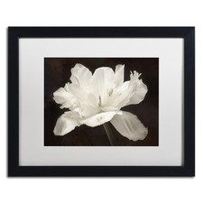 Trademark Fine Art White Tulip I White Matted Black Frame 16x20 picture