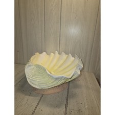 Vtg Large Giant Clam Shell Bowl 10x13 Natural White Seashell Beach Coastal READ picture