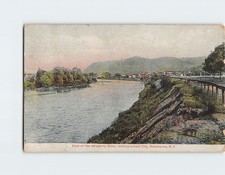 Postcard View of the  Allegheny River Looking Toward City Salamanca New York USA picture