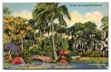 Florida, The Tropical Wonderland picture