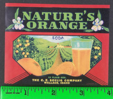 Vintage Nature's Orange Soda Drink Label Card picture