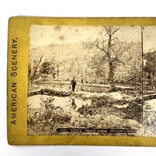 Lentz Trout Farm Mauch Chunk PA American Scenery Antique Stereoview Photo Card picture