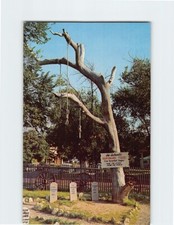 Postcard The Authentic Hanging Tree from Horsethief Canyon Dodge City Kansas picture