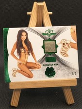 2013 Bench Warmer Gold Edition Candace Kita Gold Shoe Memorabilia /2 WORN picture