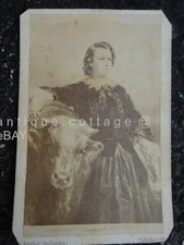 antique FRENCH Painter Sculptor ROSA BONHEUR (1822-1899) CDV PHOTOGRAPH w COW picture