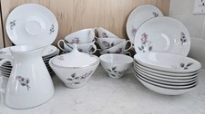 Fine Bohemian China Silver Rose Tea Cup Plates Bowls Creamer Sugar 37 Piece Set  picture