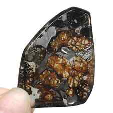8.2g excellent SERICHO Pallasite olive meteorite slices - from Kenya QA469 picture