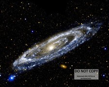 ANDROMEDA GALAXY TAKEN BY GALAXY EVOLUTION  EXPLORER - 8X10 NASA PHOTO (DD-140) picture