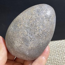247g Handcrafted polishing of natural  skeletal fossils in Madagascar picture