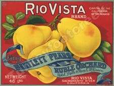 Rio Vista Brand Bartlett Pears Label 9
