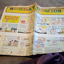 Sunday Comics Newspaper Section Feb 13 2000 Peanuts Blondie Beetle Bailey picture