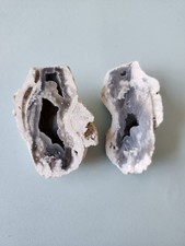 Florida Agatized Coral Fossil Pair, Part polished Chalcedony Druzy Fluorescent picture