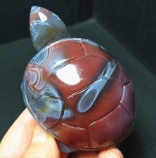 169.6G Natural Polished Scarlet Agate Stone Hand Carved Longevity Turtle AC1250 picture