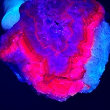 Black Tea Rose Fluorite Selenite Cluster Pakistan UV Fluorescent with Stand 426g picture