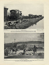 IMAGES OF THE WESTON AND HOLCOMBE HARRIER HOUND PACK OLD ORIGINAL 1934 DOG PRINT picture