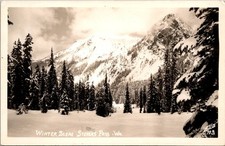 RPPC Stevens Pass WA Winter Scene Snow Covered Mountains Evergreen Trees picture