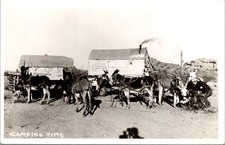 Camping Time Steelstone Pete Seeing America Mule Train Photo Postcard picture