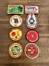Lot Of Vintage BSA LINCOLN TRAILS COUNCIL PATCHES  picture