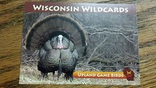 WISCONSIN WILDCARDS, WILD TURKEY--TOM, UPLAND GAME BIRDS, 3-1/2
