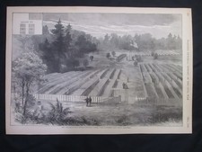 1894 Civil War Prints - Andersonville Burial Grounds, 14,000 Union Prisoners picture