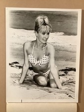 NBC Studio sexy swimsuit pinup photo actress Chris Noel 1963 “The Lieutenant” picture