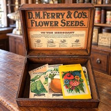Vintage D.M. Ferry & Co. Seed Store Display Box Oak Wood Countertop And Samples picture