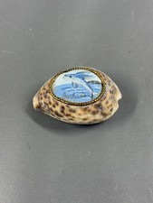 Vintage Barbados Shell Souvenir Painted Fish Mini Shell Figurine 2.7″ picture