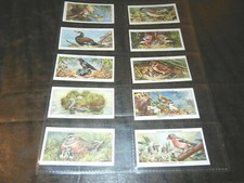 1937 John Player & Sons Birds and Their Young Complete Set of 50 Tobacco Cards  picture