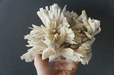 Extremely RARE Quartz Pseudomorph after anhydrite Mineral Specimen Specimens picture