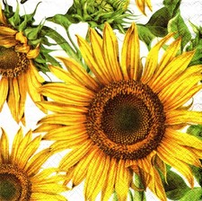 (2) Two Paper Lunch Napkins for Decoupage/Mixed Media, The Last Sunflower floral picture