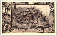1909 Vintage Jackal Africa Wildlife Postcard by M.J. Mintz Chicago picture